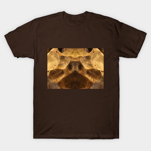 Abstract stretched pig snout on cave wall T-Shirt by kall3bu